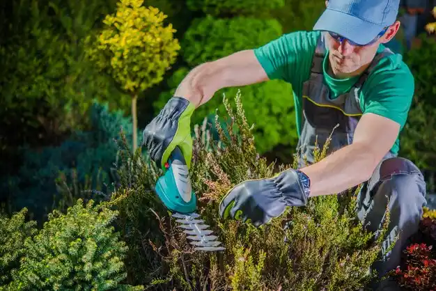 landscaping services Beavercreek